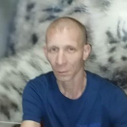 , 40, 
