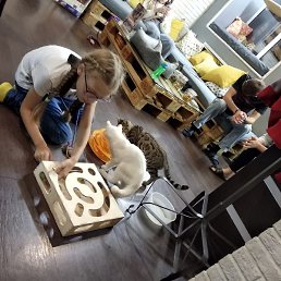 �������, ������, 64 ����