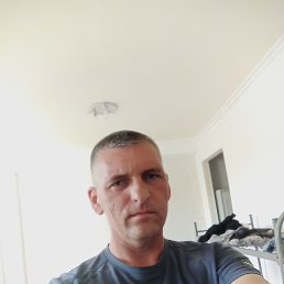 , 42, 