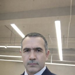 ������, 50 ���, ��������