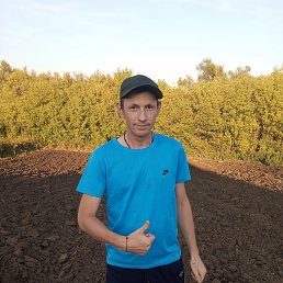 , 32, 