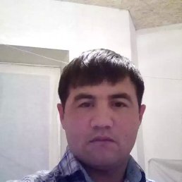 , 33, 