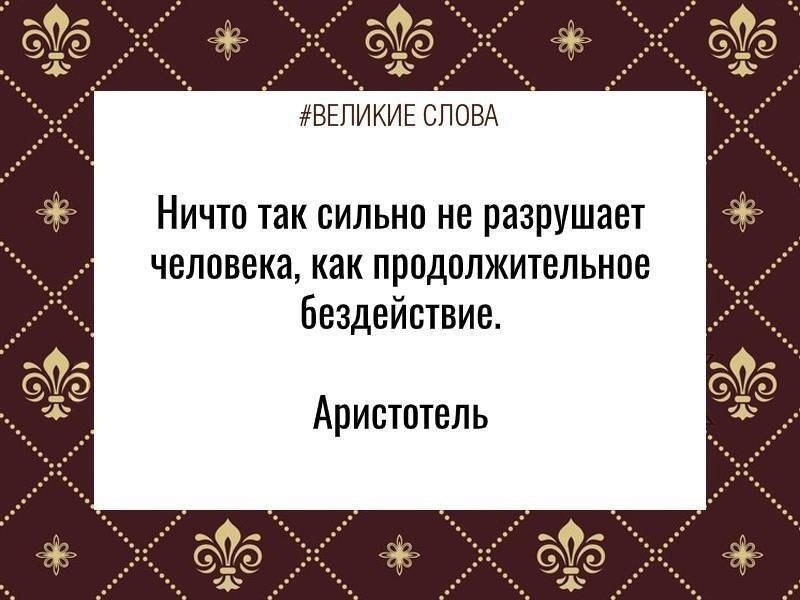   | ,    - 6  2024  17:51