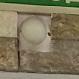 �����, ������, 40 ���