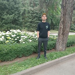 , 37, 