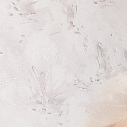 E��������, ����-������, 67 ���