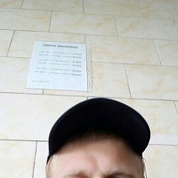 �����, 31 ���, ��������