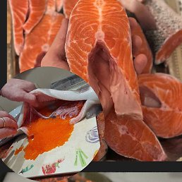 ������, ���������, 53 ����