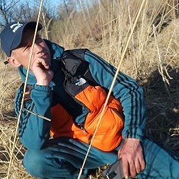 �������, ������, 37 ���