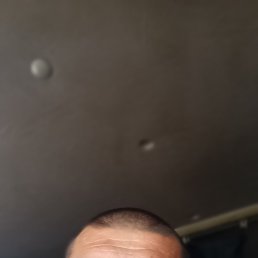 , 43, 