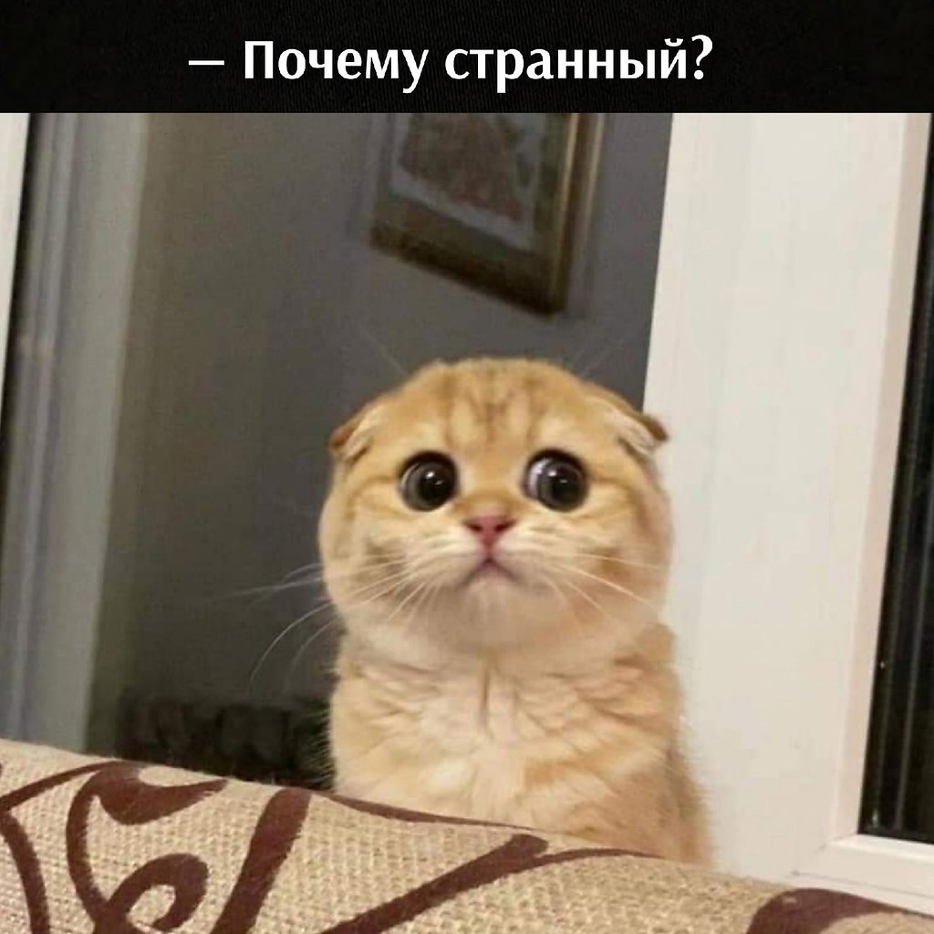       - 2  2025  17:42 - 3