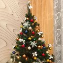 ���� ����, ������, 50 ��� - ��������� 30 ������� 2025 � ������ ���� ����������