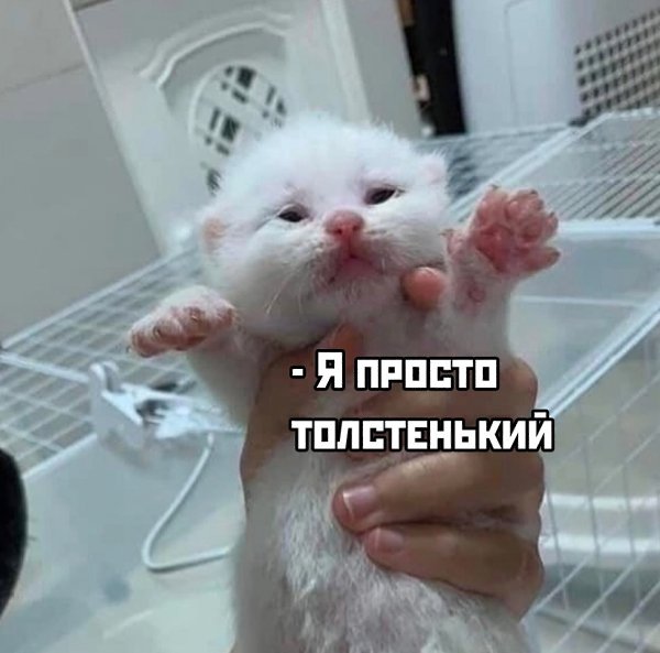 � �������� ������� ������ ������ ������ � ���������� � � ������ ������ �������� �����, � ������� ... - 2