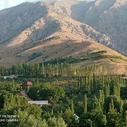 ���� ����, ������, 53 ���� - ��������� 5 ������ 2025