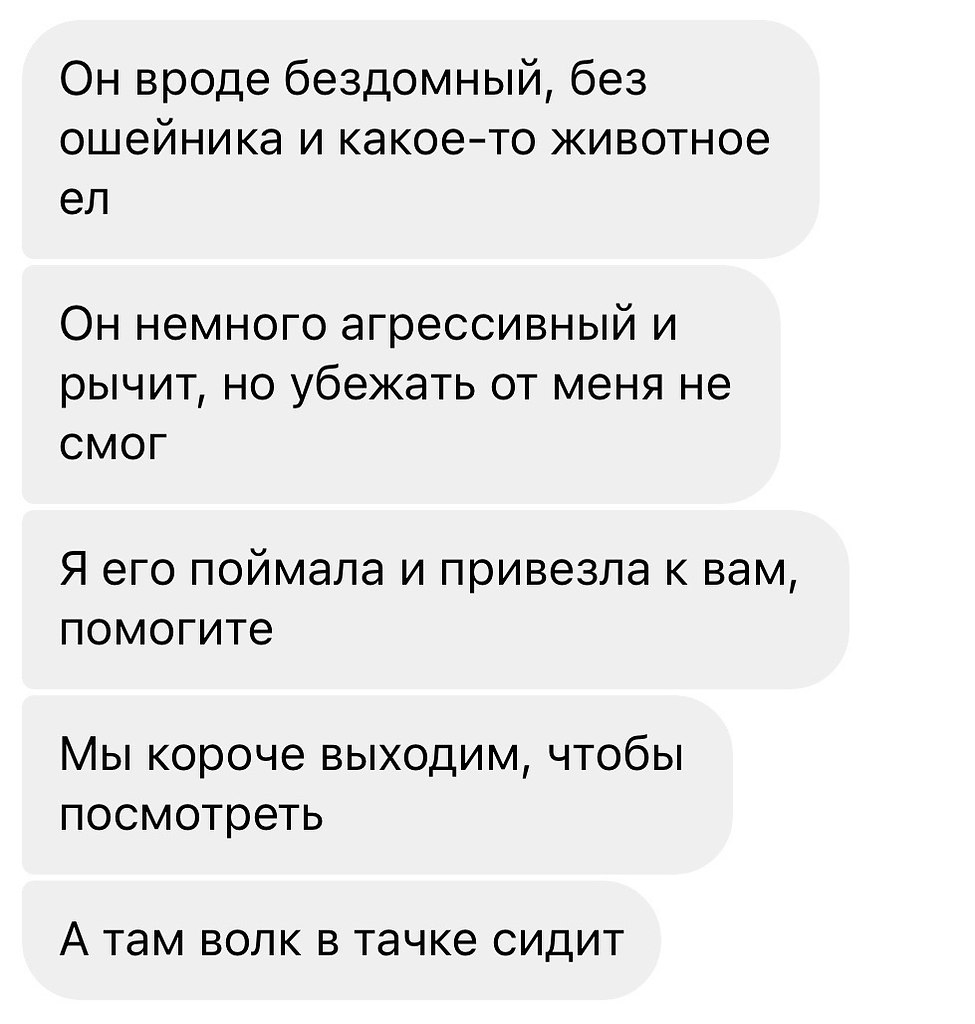 �������. - 24 ������ 2026 � 15:04 - 2