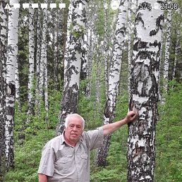 ���� ����, ������, 74 ���� - ��������� 5 ������ 2023