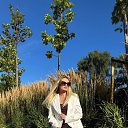 ���� �����, �����������, 26 ��� - ��������� 13 ������ 2026 � ������ ���� ����������