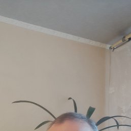 ���� ������, ��������, 54 ���� - ��������� 17 ������� 2025