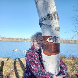 �������, ����, 65 ���