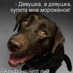 ����, �������