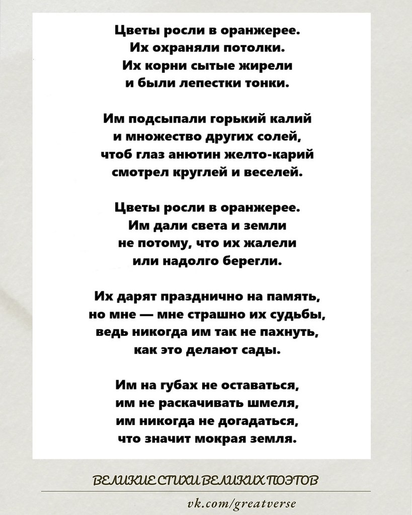 «Цветы росли в оранжерее…» Беллы Ахмадулиной (1956): Стихотворение — размышление о жизни в ...
