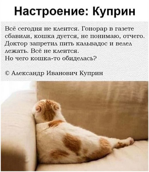 ������ �������� - 11 ���� 2025 � 16:03