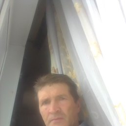 , 53, 