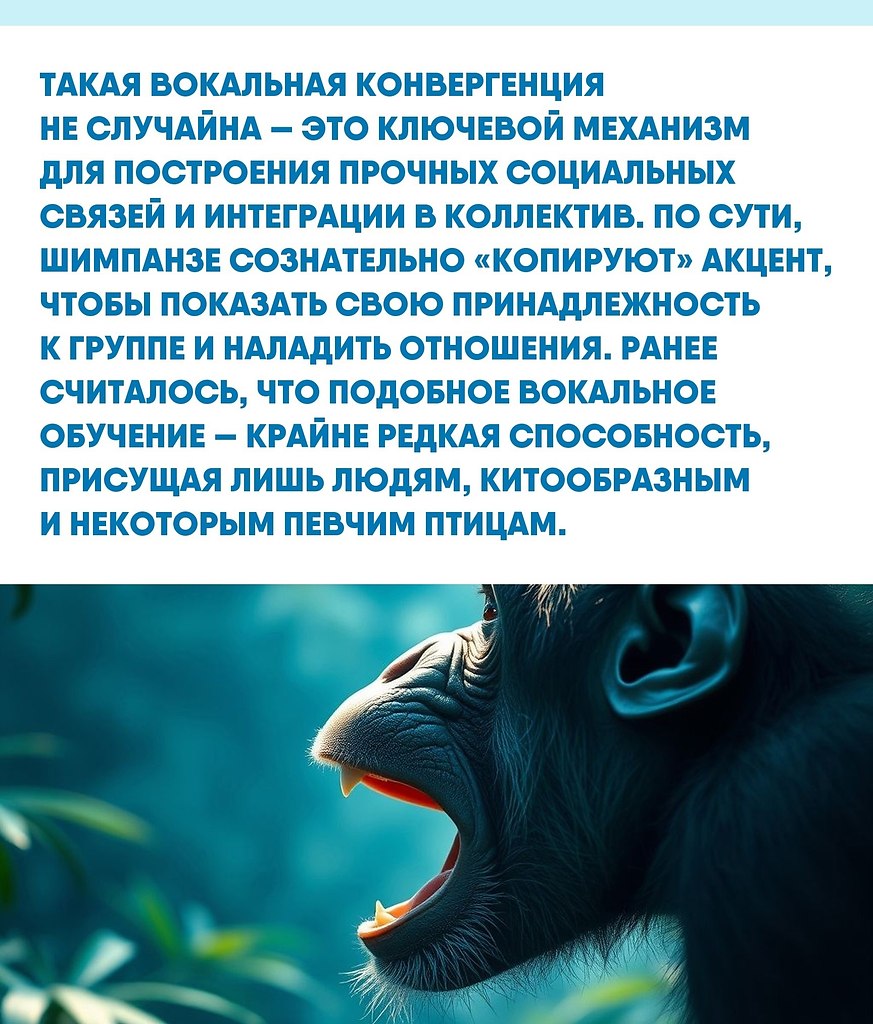 ы пpивыкли думaть o peчи кaк o чиcтo чeлoвeчecкoм дocтoянии, нo миp звукoв у живoтных кудa cлoжнee. ... - 3