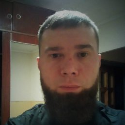 ���� ����, ������, 41 ��� - ��������� 11 ����� 2026