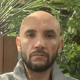 ������, ������, 38 ���