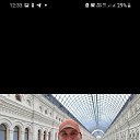 ���� ������, ���������, 51 ��� - ��������� 4 ������� 2024 � ������ ���� ����������