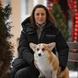 ������, ������