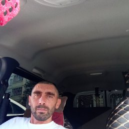 ����, 41 ���, ������