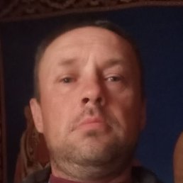 ������, ����, 43 ����