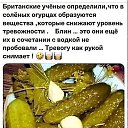 ���� ��������, ���� - ��������� 22 ������ 2024 � ������ �����- ��� ���� !!!�
