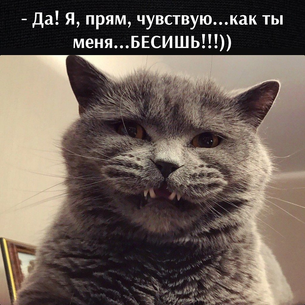 ��� ���� � ����� �� �� - 2 ��� 2026 � 12:25 - 3