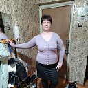 ���� �������, ����������, 44 ���� - ��������� 1 ������ 2024 � ������ ���� ����������