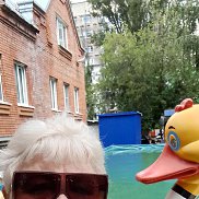 ���, 45 ���, �����