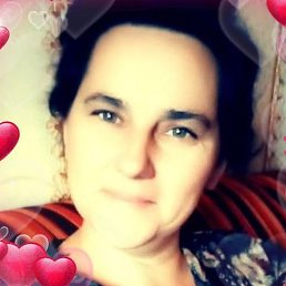 ����, �������, 50 ���