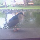 ���� ����, ������ - ��������� 20 ������� 2025