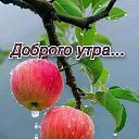 ���� ������� !, ������ - ��������� 31 ���� 2026 � ������ ������ ��������