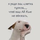 ���� �������, ������ - ��������� 13 �������� 2026
