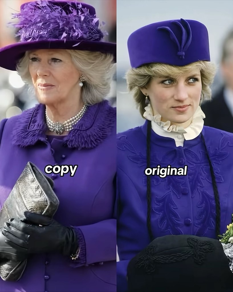 ��a ���a ���ec�o�. �o��ac��? ����� ������� - 5