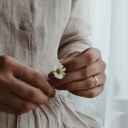 ������, �����-���������, 47 ���