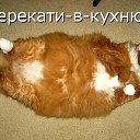 ���� Vlad, �������, 41 ��� - ��������� 12 �������� 2024 � ������ ���� ����������