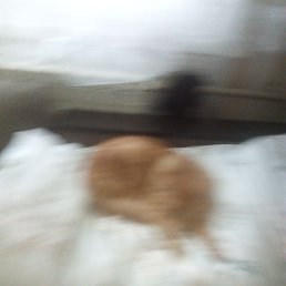 ���� ������� ������������� ����� ������ ��������, ������, 41 ��� - ��������� 21 ������ 2025