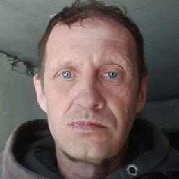 ������, ���������, 46 ���