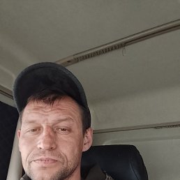 , 41, 