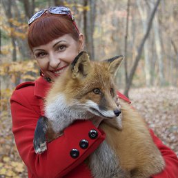 �������, ������