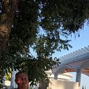 ���� ���������, �����, 55 ��� - ��������� 28 ������� 2025